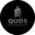 Логотип компании QUDS