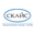 Логотип компании Скайс