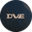 Логотип компании DVE