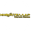 Логотип компании Инфостеллар