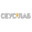 Логотип компании СЕУСЛАБ