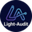 Логотип компании Light-Audit