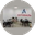 Логотип компании Агентство Недвижимости ВЕРТИКАЛЬ