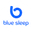 Логотип компании Блу Слип