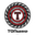 Логотип компании Топшина