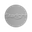 Логотип компании Starlight