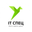 Логотип компании ИТ СПЕЦ